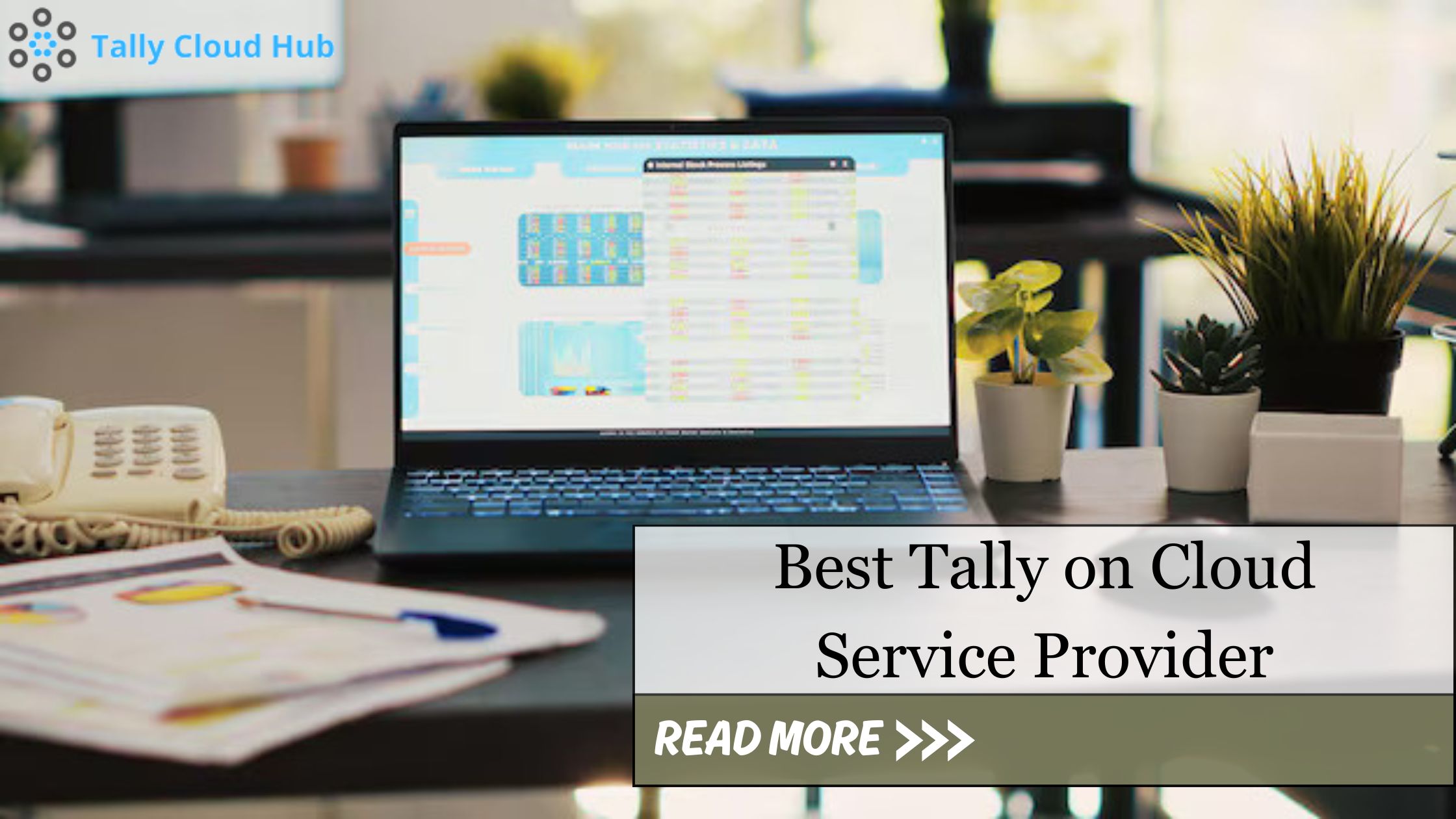Tally accounting software on cloud servers.