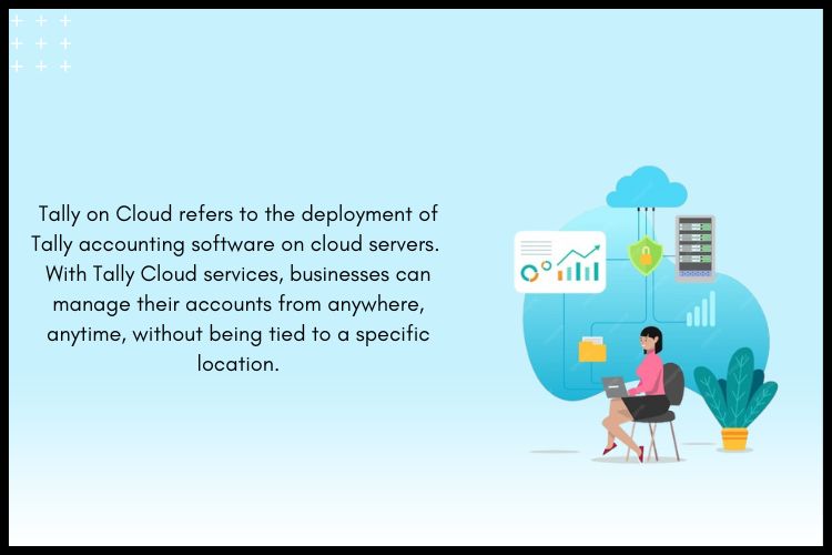 Tally accounting software on cloud servers.