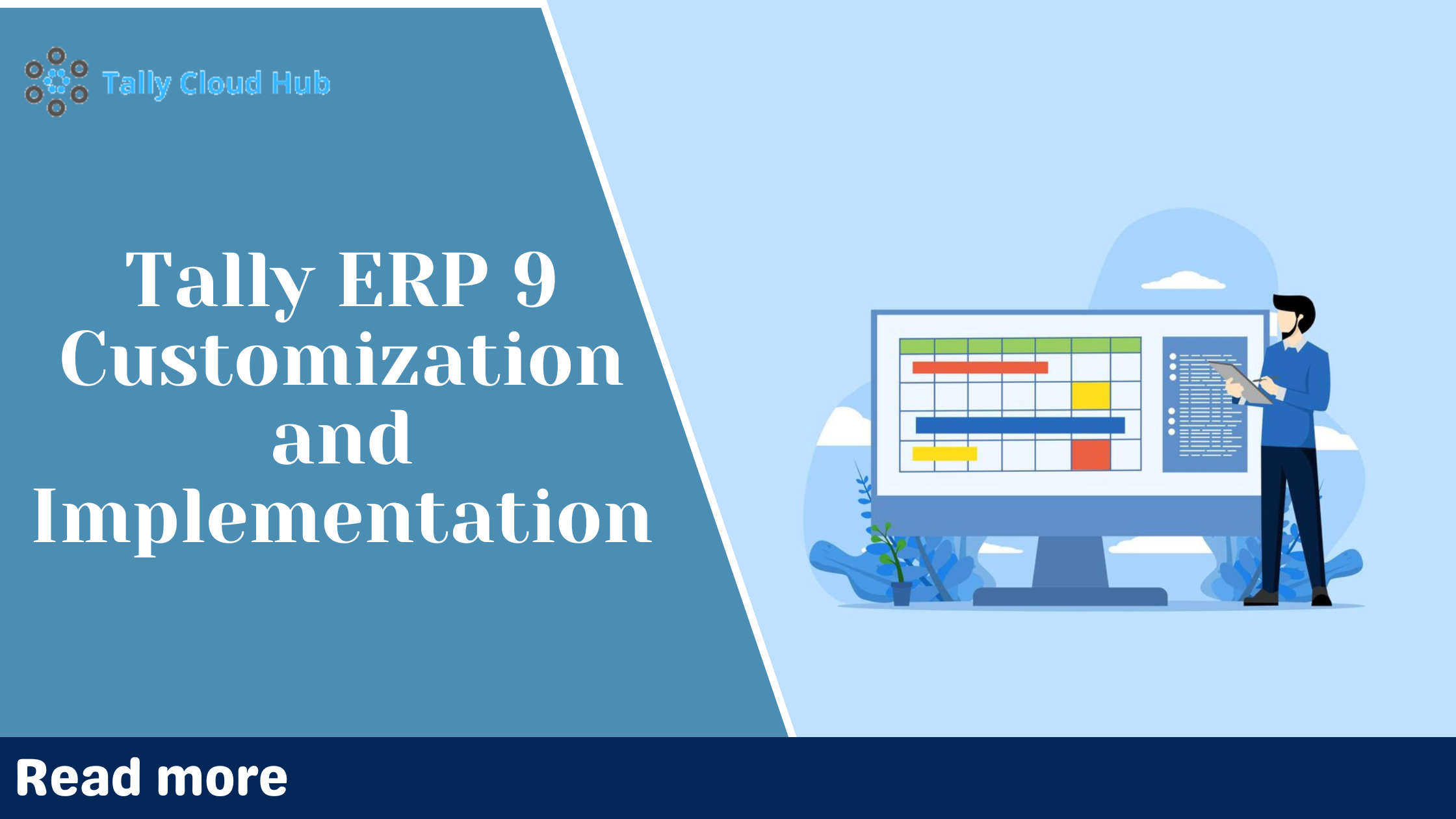 Tally ERP 9 Customization and Implementation