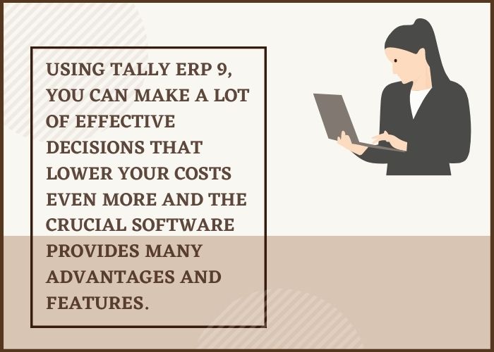 Tally ERP cost effective features