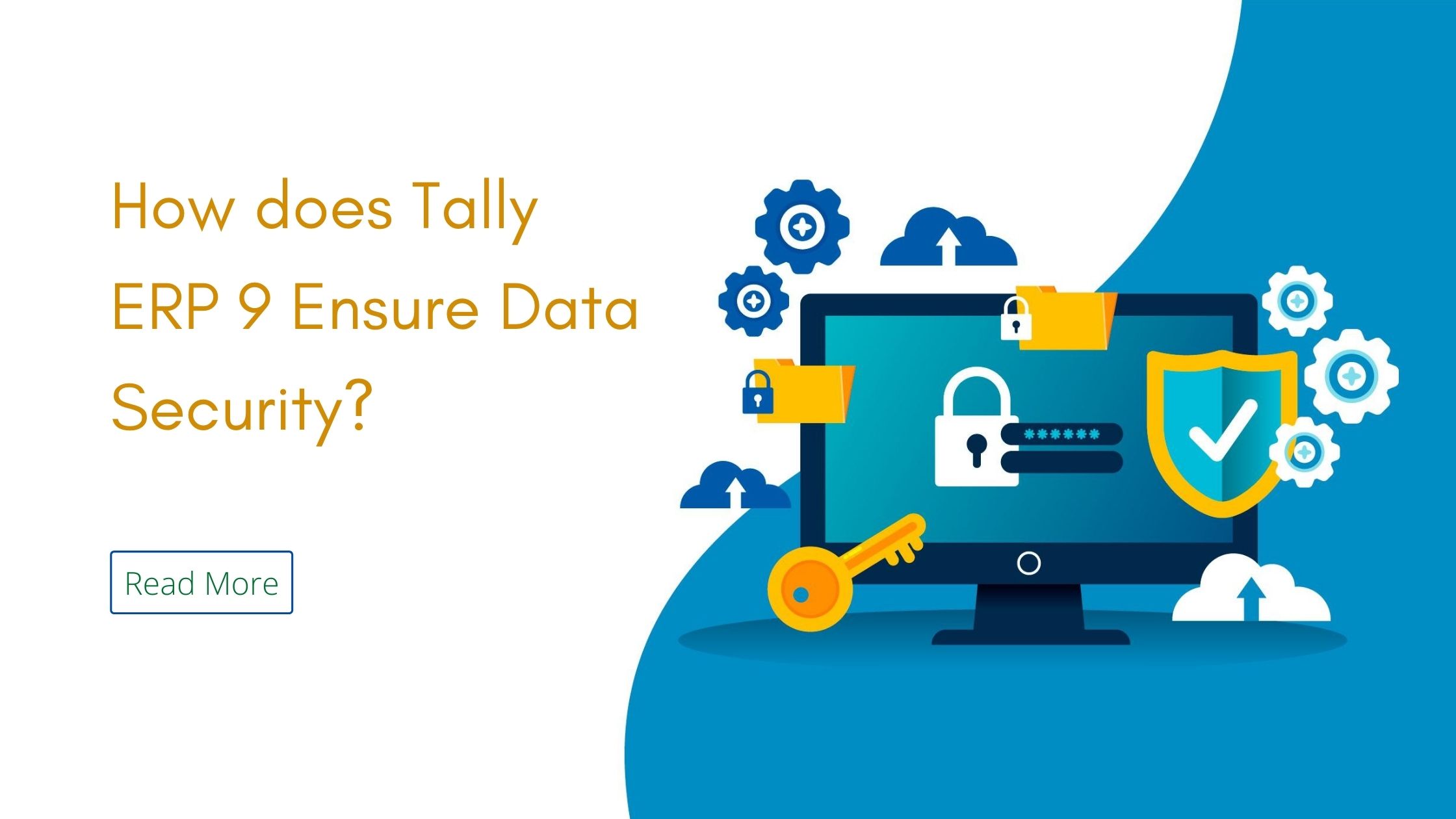 Tally ERP data security