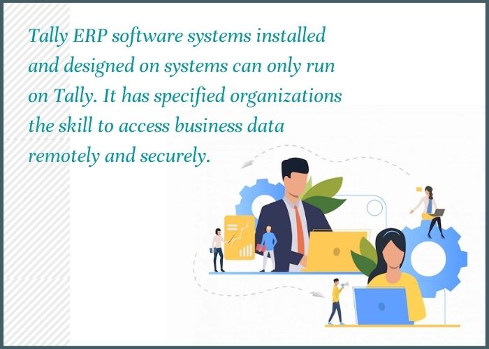 Tally ERP software
